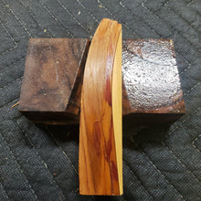 Casting Utah juniper