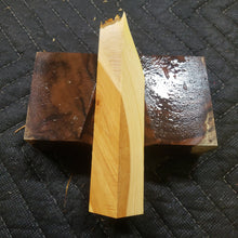 Casting Utah juniper