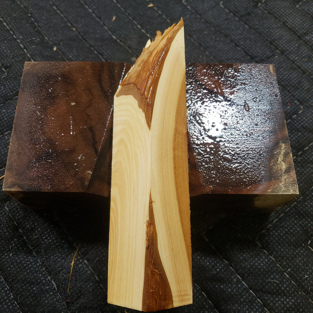 Casting Utah juniper