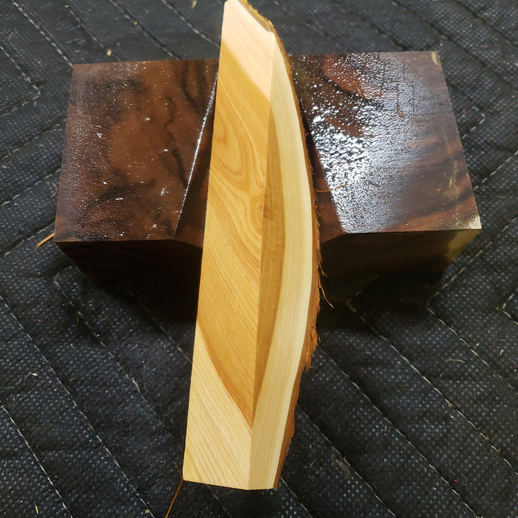 Casting Utah juniper