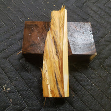 Casting Utah juniper