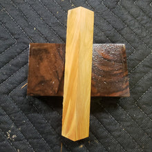 Casting Utah juniper