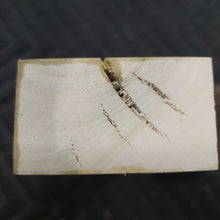 Holly knife scale
