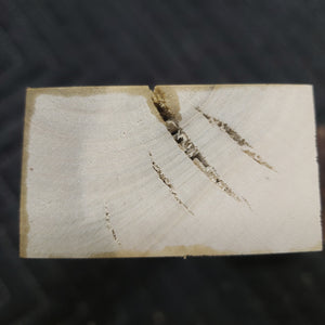Holly knife scale