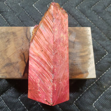 Casting box elder burl