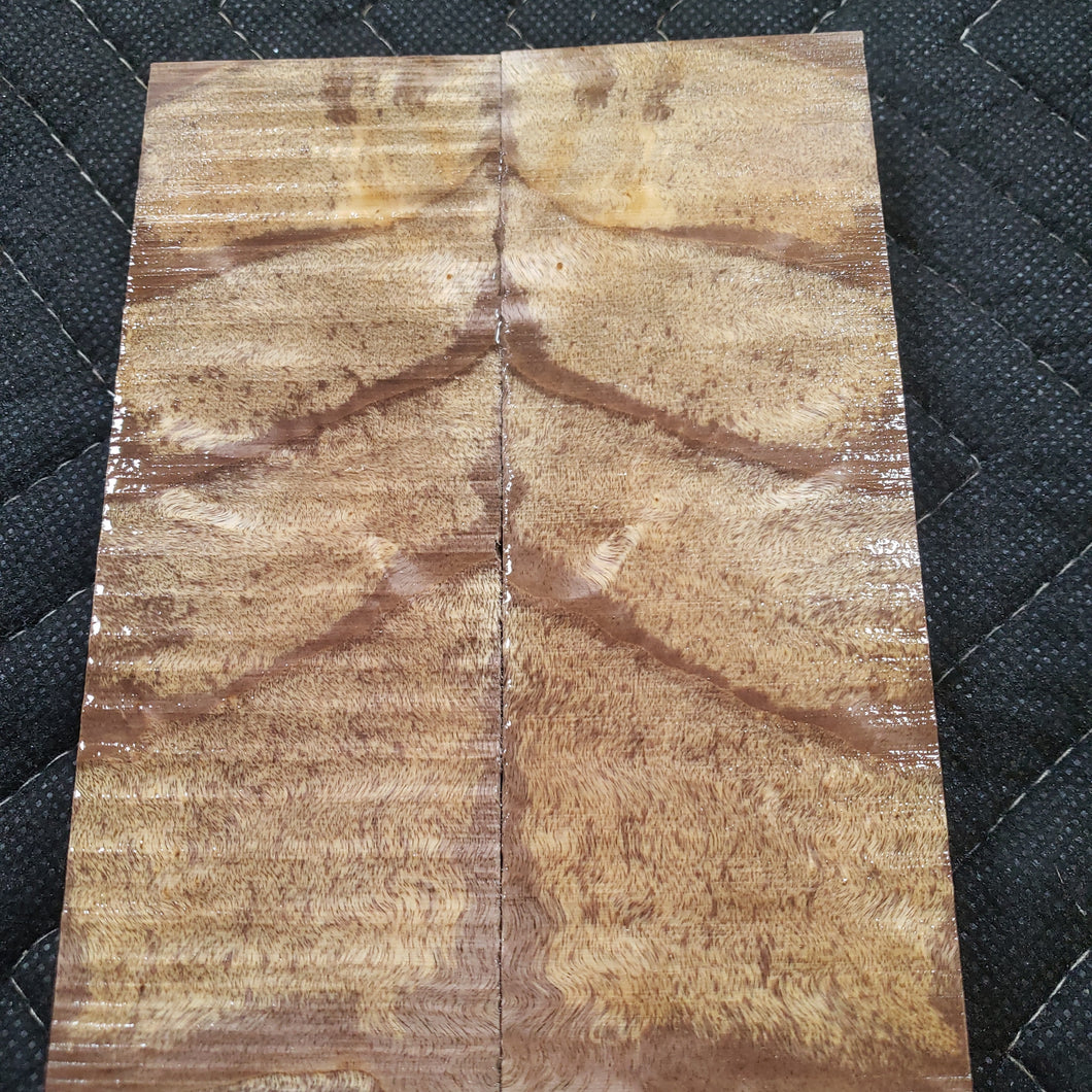 Stabilized cottonwood knife scale