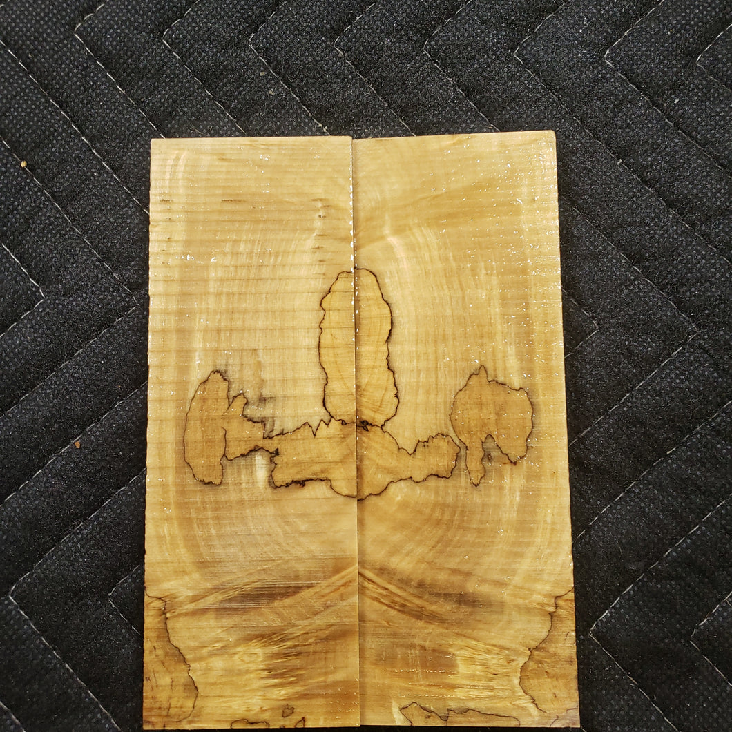 Stabilized box elder knife scale