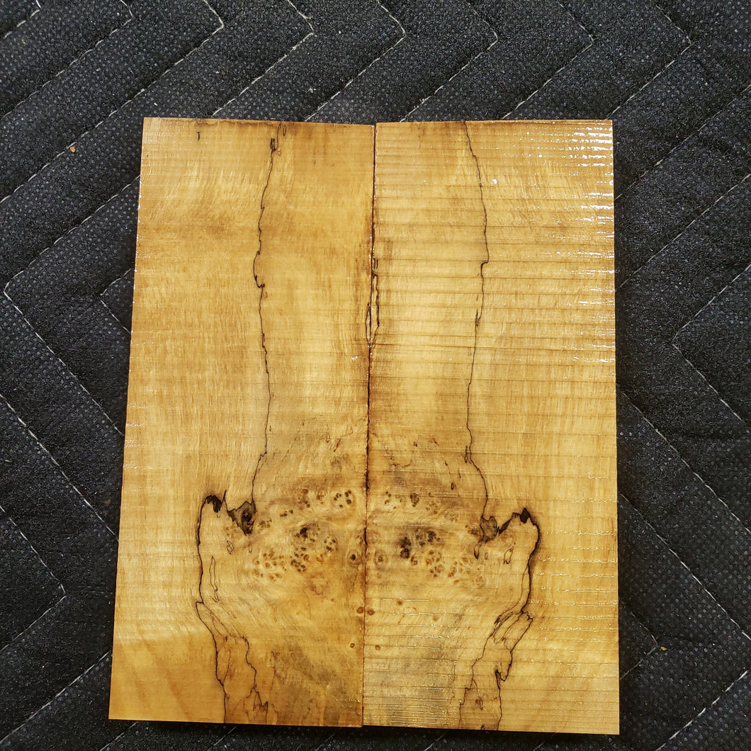 Stabilized box elder knife scale