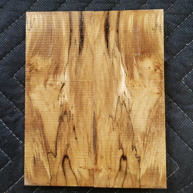 Stabilized box elder knife scale