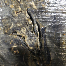 Stabilized box elder burl knife scale