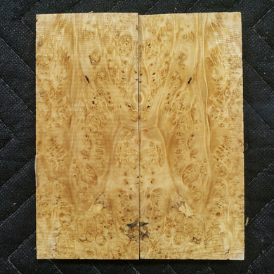 Stabilized box elder burl knife scale