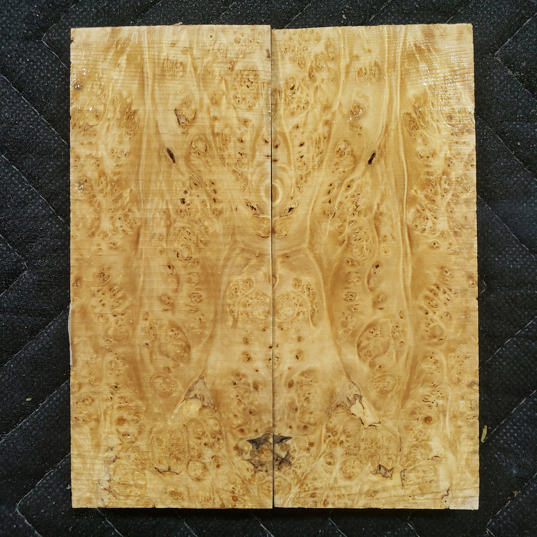 Stabilized box elder burl knife scale