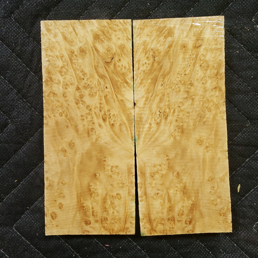 Stabilized box elder burl knife scale