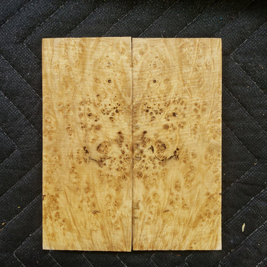 Stabilized box elder burl knife scale