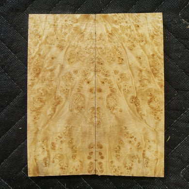 Stabilized box elder burl knife scale