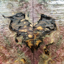 Stabilized box elder burl knife scale