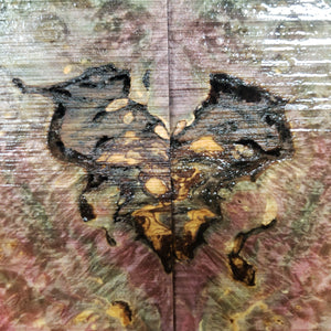 Stabilized box elder burl knife scale