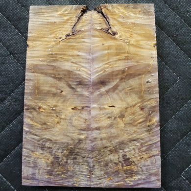 Stabilized box elder burl knife scale