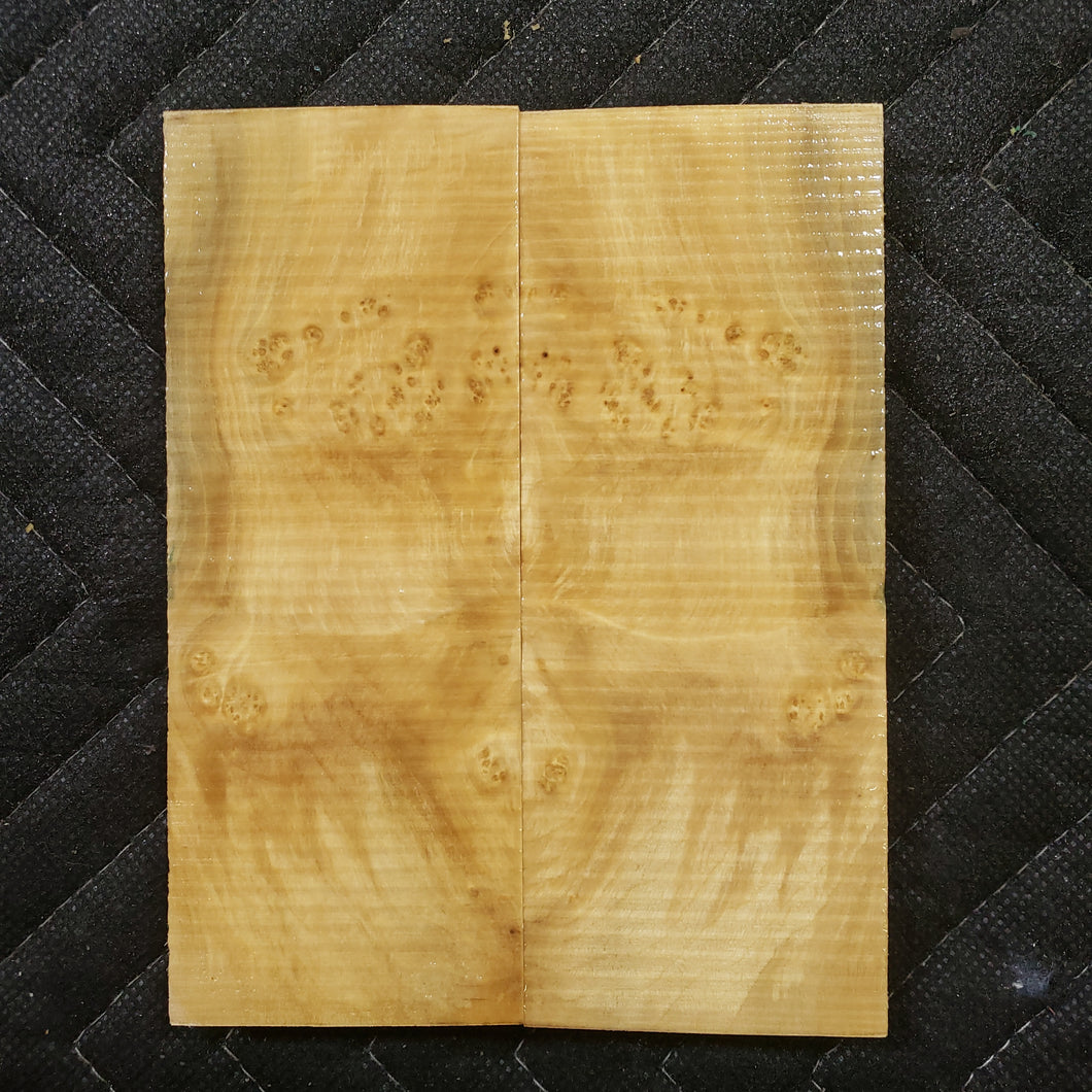 Stabilized box elder burl knife scale