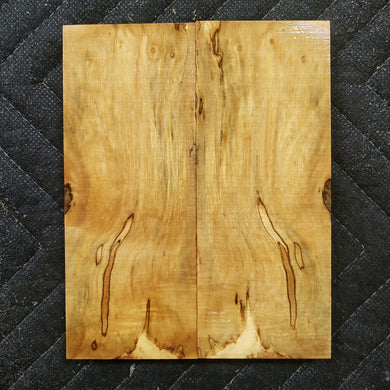 Stabilized box elder burl knife scale