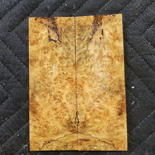 Stabilized box elder burl knife scale