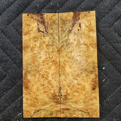 Stabilized box elder burl knife scale