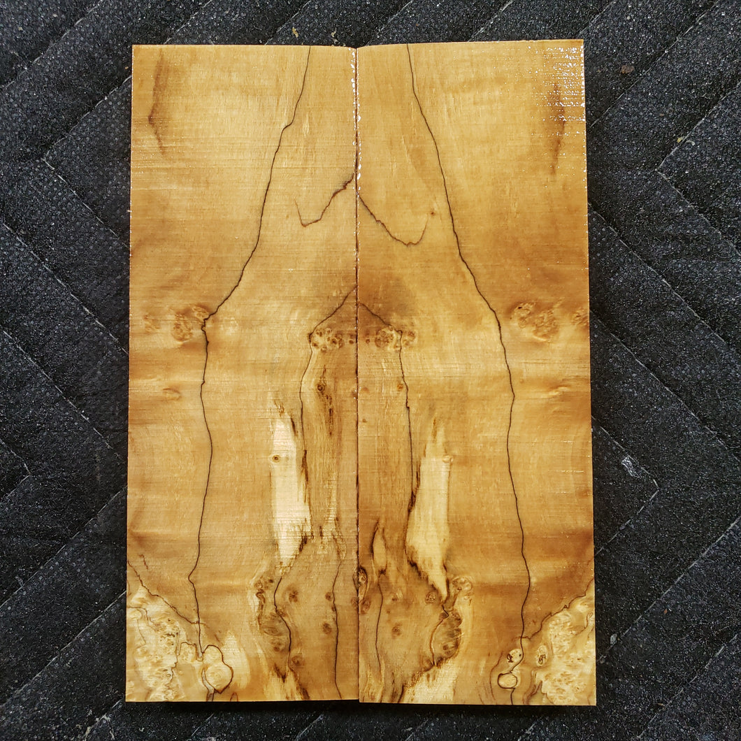 Stabilized box elder burl knife scale