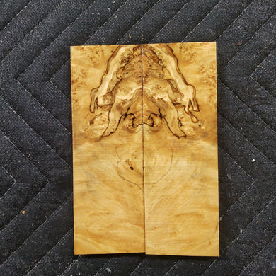 Stabilized box elder burl knife scale