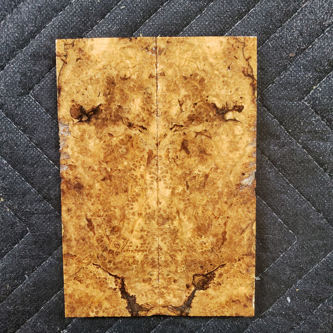 Stabilized box elder burl knife scale