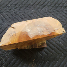Apricot