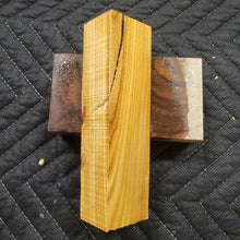 Casting Apricot