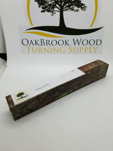 Pen Blank Hybrid Cholla - Oakbrook Wood Turning Supply