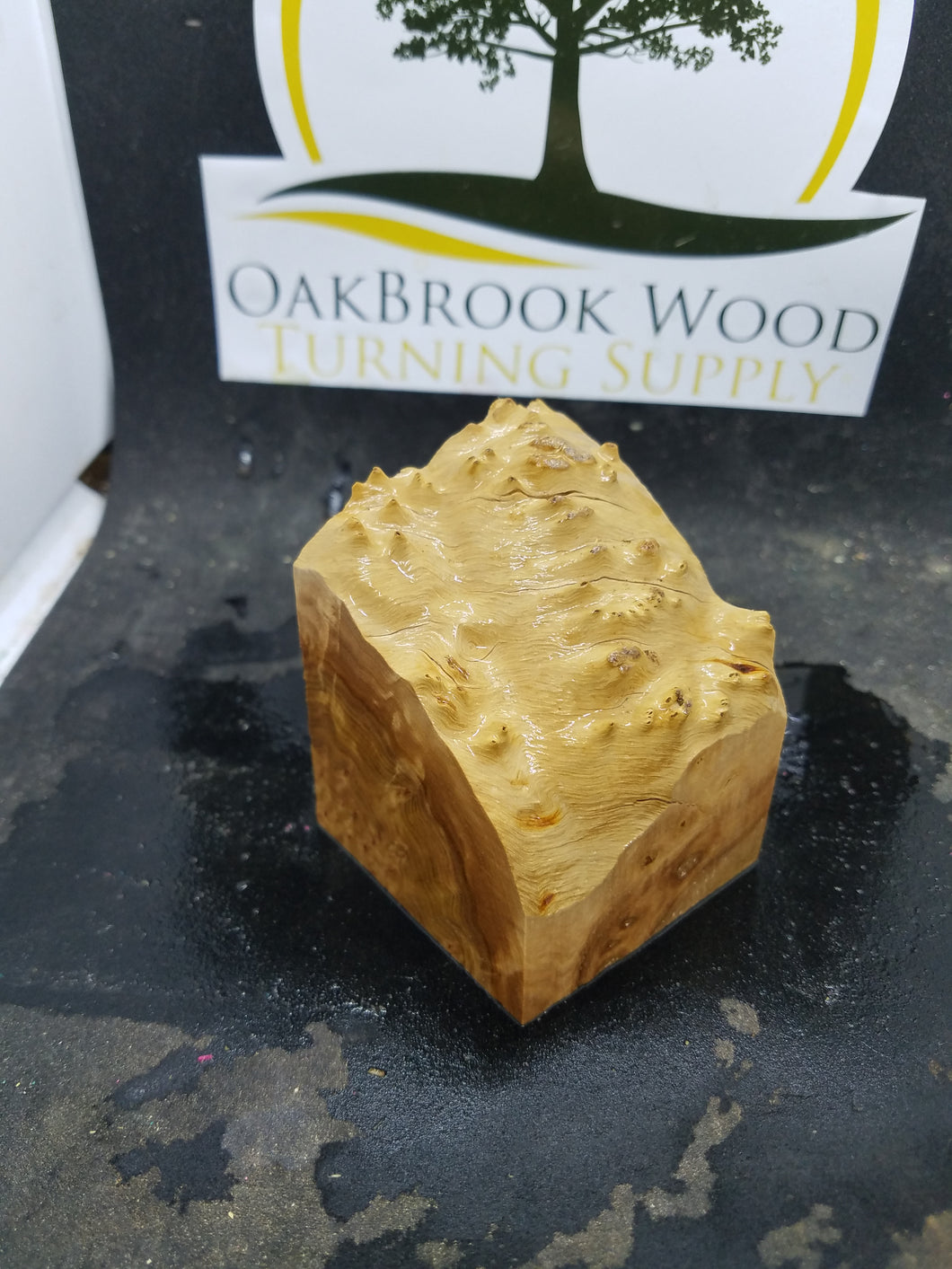 Casting corrugata burl - Oakbrook Wood Turning Supply
